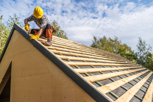 Best Residential Roofing Contractor  in Petoskey, MI